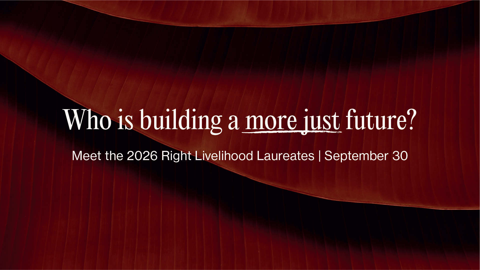 Who is building a more just future? Meet the 2026 Right Livelihood Laureates | September 30